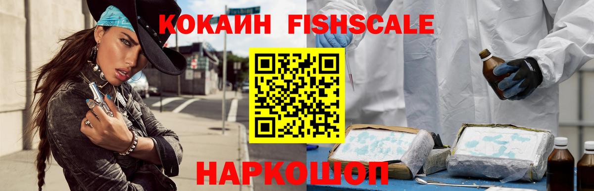 продажа наркотиков  Шадринск  COCAIN Fish Scale  Кокаин Колумбийский 
