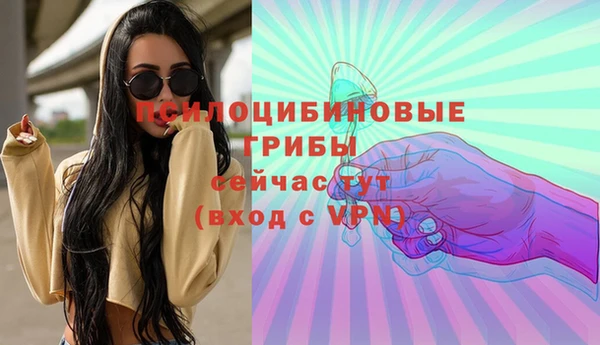 a pvp Магас