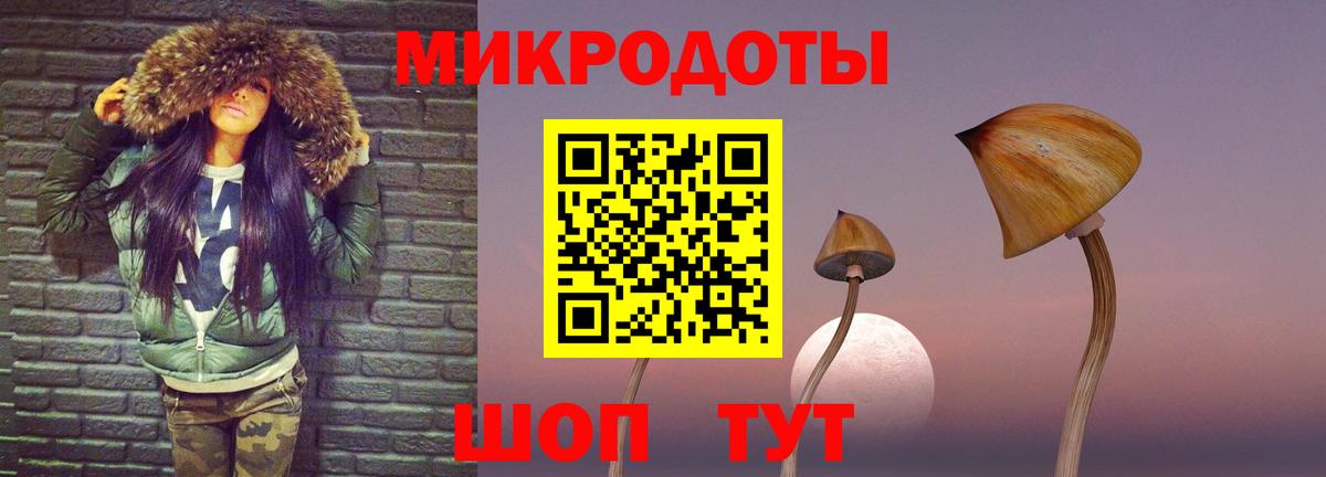 Галлюциногенные грибы Psilocybine cubensis Шадринск